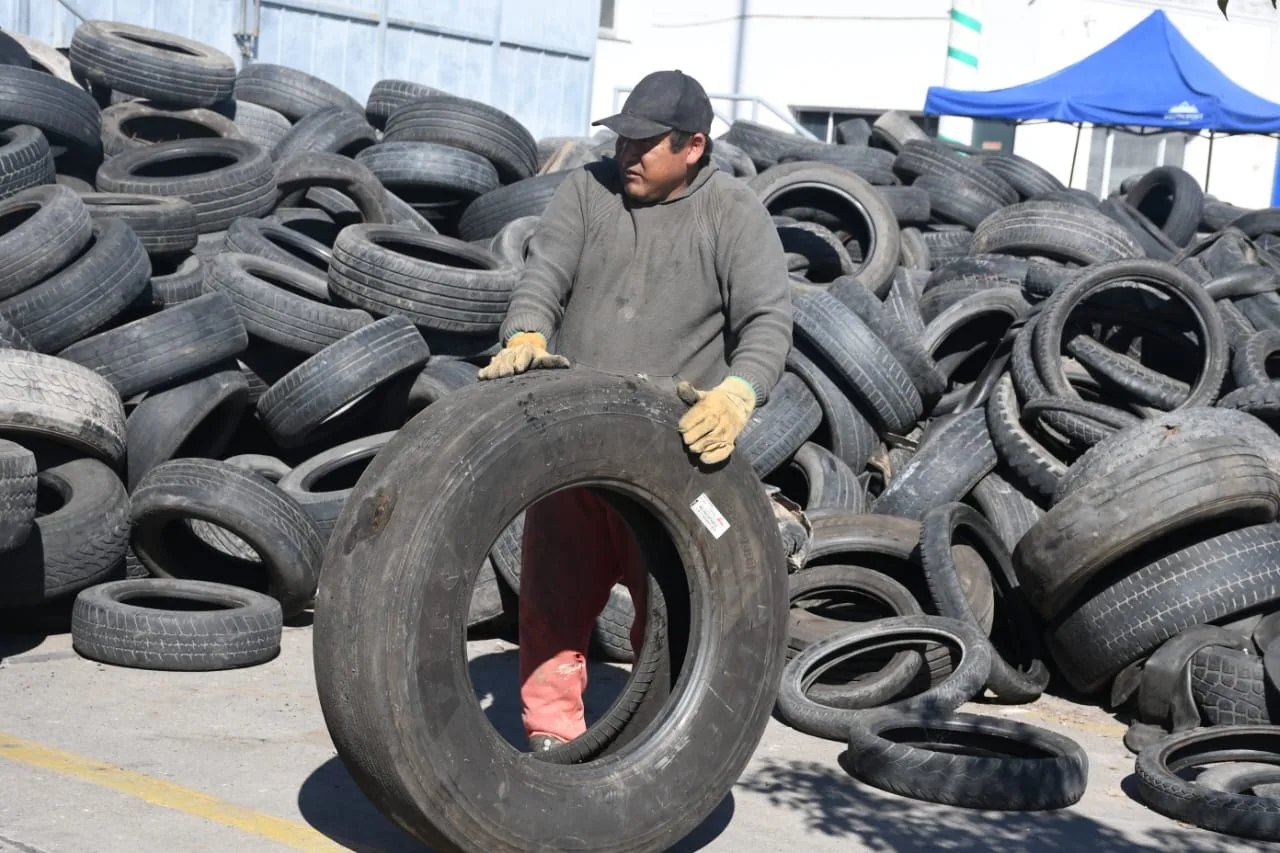 neumaton-13-edicion-5-jpeg